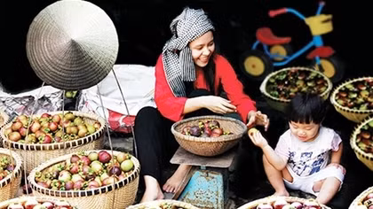 Đổi thay trên vùng đất trái cây nổi tiếng