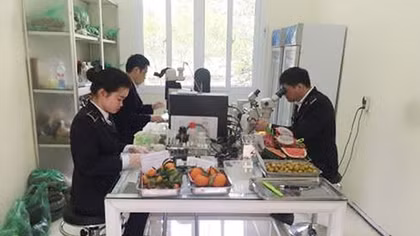 Kiểm soát chặt chất lượng nông sản nhập khẩu ở Tân Thanh