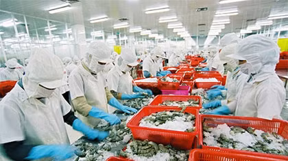 Cần kiểm soát chặt thủy sản nhập khẩu đảm bảo bình đẳng giữa các DN