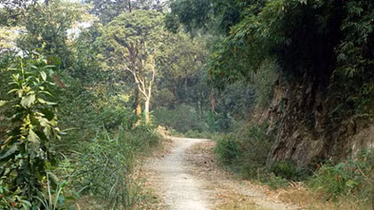 Đi nhiều sẽ thành đường