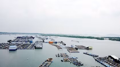 Nghịch lý, nhà hàng nổi vẫn đang bị thả nổi