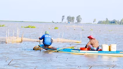 Bài cuối: Nguồn lợi thủy sản đang dần cạn