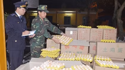 Tăng cường chống dịch cúm gia cầm ở Quảng Ninh