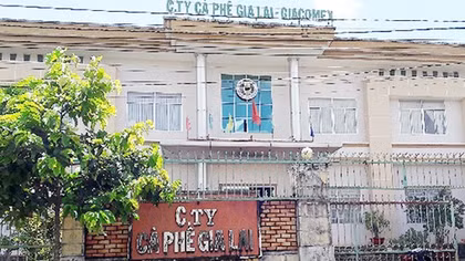 Điều tra sai phạm ở Công ty Cà phê Gia Lai và Công ty Chè Biển Hồ