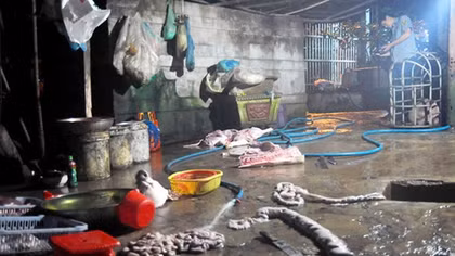 Xử lý hành vi sản xuất thực phẩm bẩn: Nhiều kẽ hở trong luật