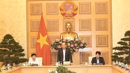 Phó Thủ tướng Thường trực tiếp đoàn người có công tỉnh Cà Mau