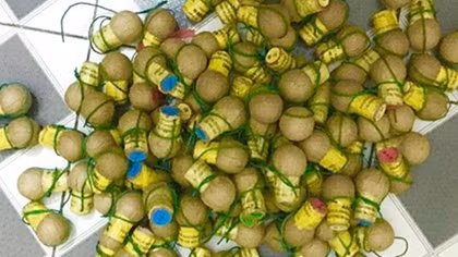 Thuê nhà nghỉ buôn bán pháo nổ