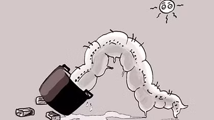 Từ một "con sâu" tày đình giữa thanh thiên bạch nhật