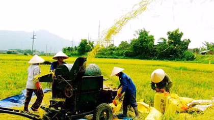 Nghiên cứu chính sách đặc thù xây dựng nông thôn mới ở tỉnh miền núi đặc biệt khó khăn