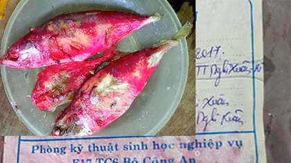 Kì lạ cá kho đổi màu đỏ sau một đêm ở Hà Tĩnh