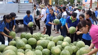 Để không còn cảnh “giải cứu” nông sản
