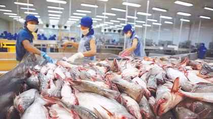 Thủy sản Việt Nam với kỳ vọng xuất khẩu 9 tỷ USD