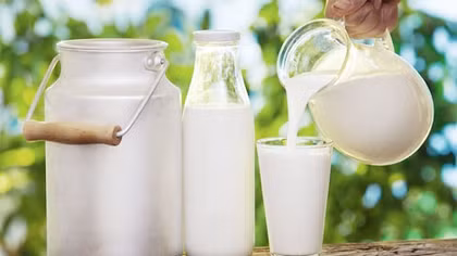Hải quan gặp khó về phân loại mã mặt hàng sữa
