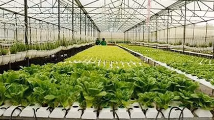 Agribank sẵn sàng đồng hành cùng nông nghiệp 4.0