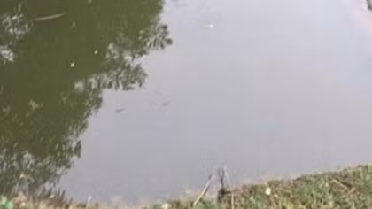Hai bé gái chết đuối khi đi chơi qua ao