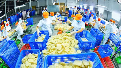  Khi Công đoàn Việt Nam vẫn còn "ngại" đấu tranh