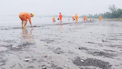 Hủy hoại, làm suy thoái môi trường, hệ sinh thái biển là vi phạm luật
