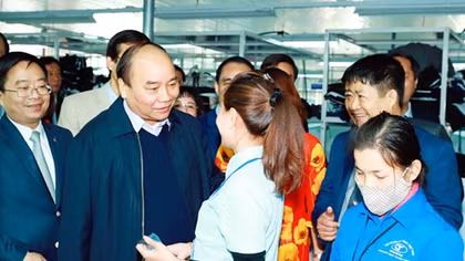 Kinh tế lâm nghiệp là lối ra cho Tuyên Quang