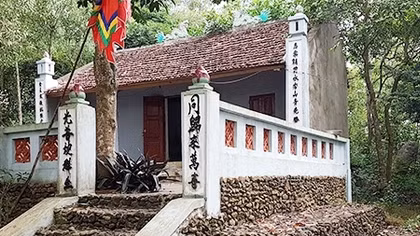 Dưới gốc thi làng Việt Yên