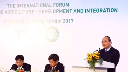 Không phát triển nông nghiệp hữu cơ ồ ạt theo phong trào