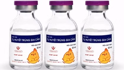 Nhầm thuốc gia cầm là sữa, cháu bé 2 tuổi nhập viện