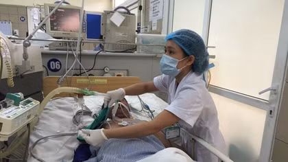 Sau những ngày mưa, cần đề phòng rắn độc cắn