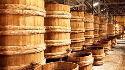 Vinastas bị phạt 15 triệu đồng và phải thu hồi các tài liệu khảo sát nước mắm