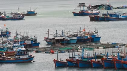 Ứng phó với bão số 14 đang nhằm Khánh Hòa - Ninh Thuận