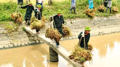 Ảnh đẹp dự thi Vì bình yên cuộc sống năm 2016 tuần thứ 25