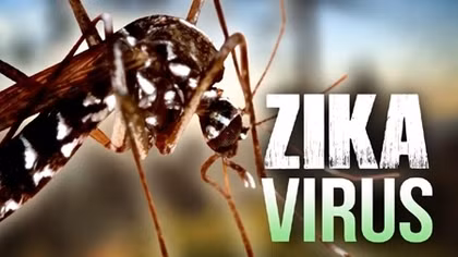 Việt Nam phát hiện thêm 2 người mắc Zika 