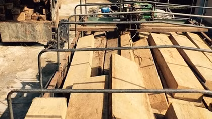Bắt giữ 2 xe chở gỗ rừng quý hiếm, tạm giữ 7 đối tượng
