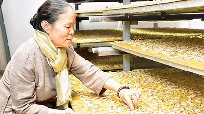 Hấp dẫn "Tiếng Tơ" trên phố cổ Hà Thành