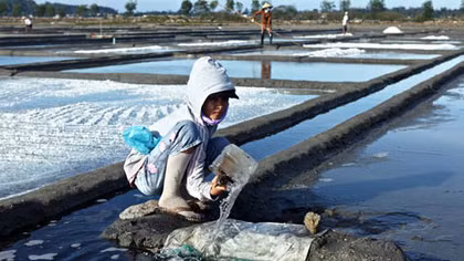 Hơn 40.000 tấn muối tồn đọng vì mức giá quá thấp