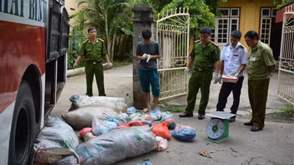 Gần 5 tạ nội tạng bốc mùi trên xe khách