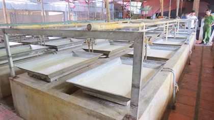 Cảnh báo tàu hủ ky có chứa hàn the