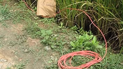 Thiệt mạng vì dính điện bẫy chuột