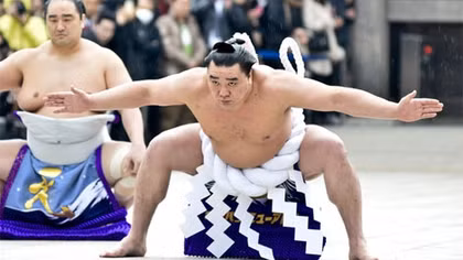 Cuộc “hành xác” suốt đời của giới võ sĩ sumo