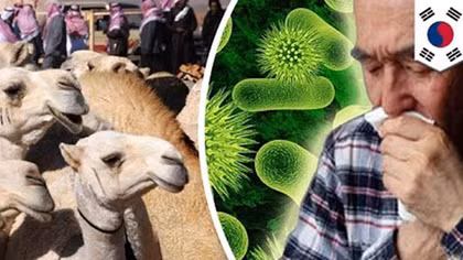 Hội chứng MERS lây lan từ Hàn Quốc đến Trung Quốc