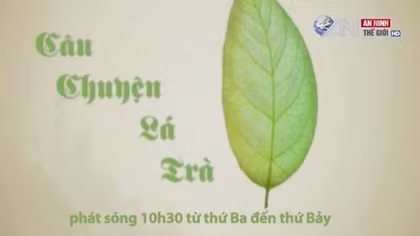 8h15 phút tối - Chương trình tivi độc đáo 