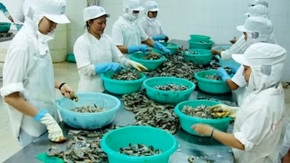 Đủ chiêu trò 'ăn gian' bảo hiểm xã hội