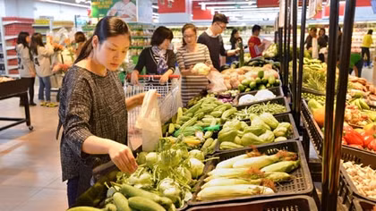 Vingroup chính thức đầu tư vào nông nghiệp