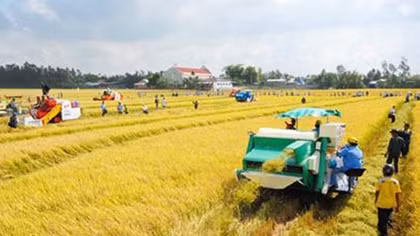 Một nắng hai sương và giấc mơ ngàn tỉ