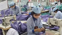Giảm tối đa thủ tục cho doanh nghiệp xuất nhập khẩu