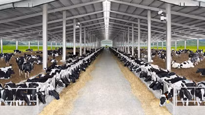 Vinamilk sẽ có thêm 3 trang trại chăn nuôi bò sữa tại Lâm Đồng