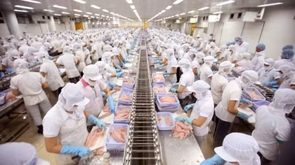 Có hay không chuyện doanh nghiệp “phá sản hàng loạt” vì một nghị định?