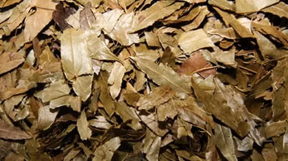 Bi hài… dâm dương hoắc