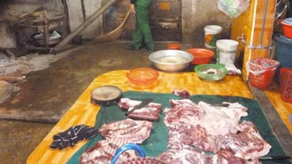 Nhốt đoàn kiểm tra, lùa heo ra đường tẩu tán