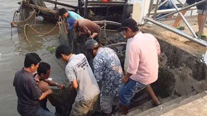 Tắm sông bị chết sau khi tham gia lễ hội Cầu an