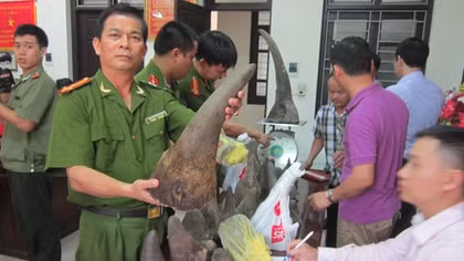 Truy lùng kẻ mua bán sừng tê giác trị giá hàng chục tỉ đồng