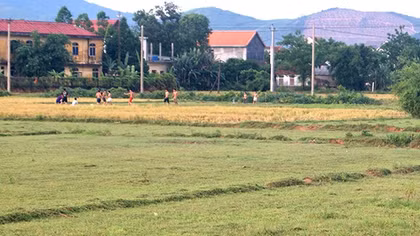 Thừa Thiên – Huế: Đi làm đồng, một nông dân bị sét đánh tử vong